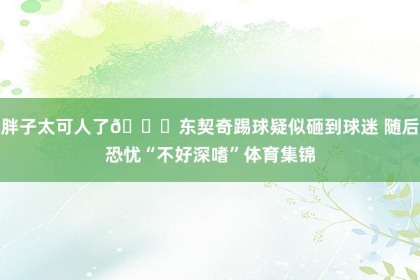胖子太可人了😅东契奇踢球疑似砸到球迷 随后恐忧“不好深嗜”体育集锦