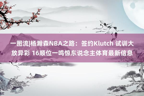 一图流|杨瀚森NBA之路：签约Klutch 试训大放异彩 16顺位一鸣惊东说念主体育最新信息