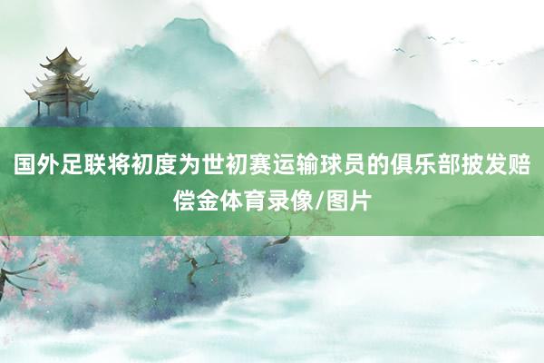 国外足联将初度为世初赛运输球员的俱乐部披发赔偿金体育录像/图片