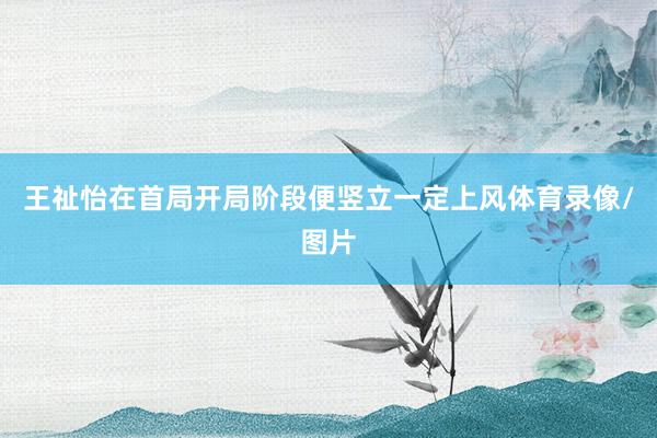 王祉怡在首局开局阶段便竖立一定上风体育录像/图片