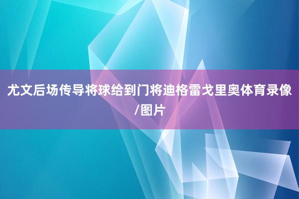 尤文后场传导将球给到门将迪格雷戈里奥体育录像/图片