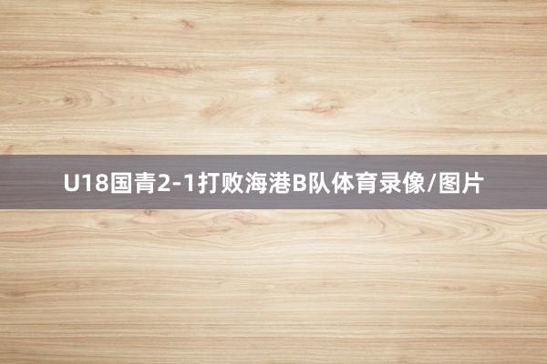 U18国青2-1打败海港B队体育录像/图片