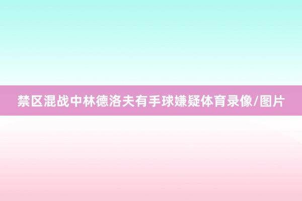 禁区混战中林德洛夫有手球嫌疑体育录像/图片