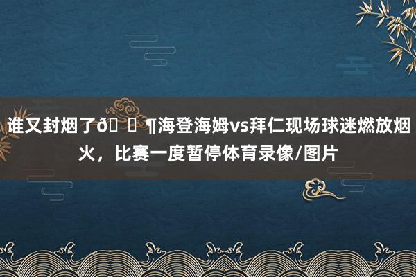 谁又封烟了😶海登海姆vs拜仁现场球迷燃放烟火，比赛一度暂停体育录像/图片