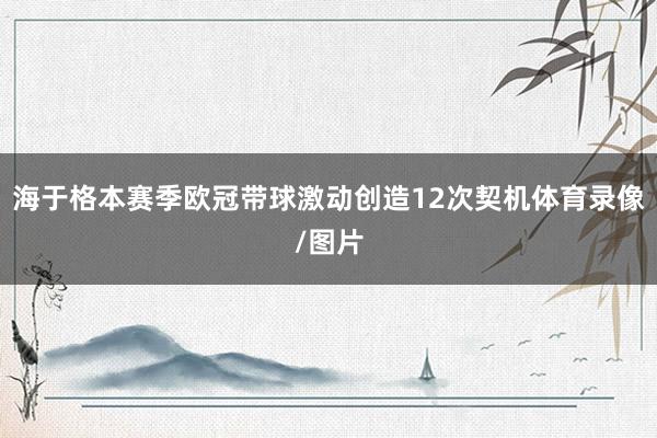 海于格本赛季欧冠带球激动创造12次契机体育录像/图片
